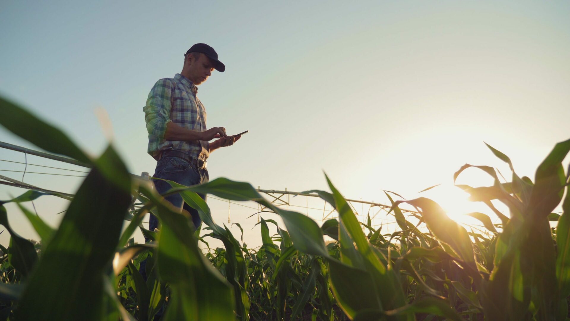 Built in SF: Seso Pulls in $25M to Help Bridge the U.S. Agricultural Labor Shortage