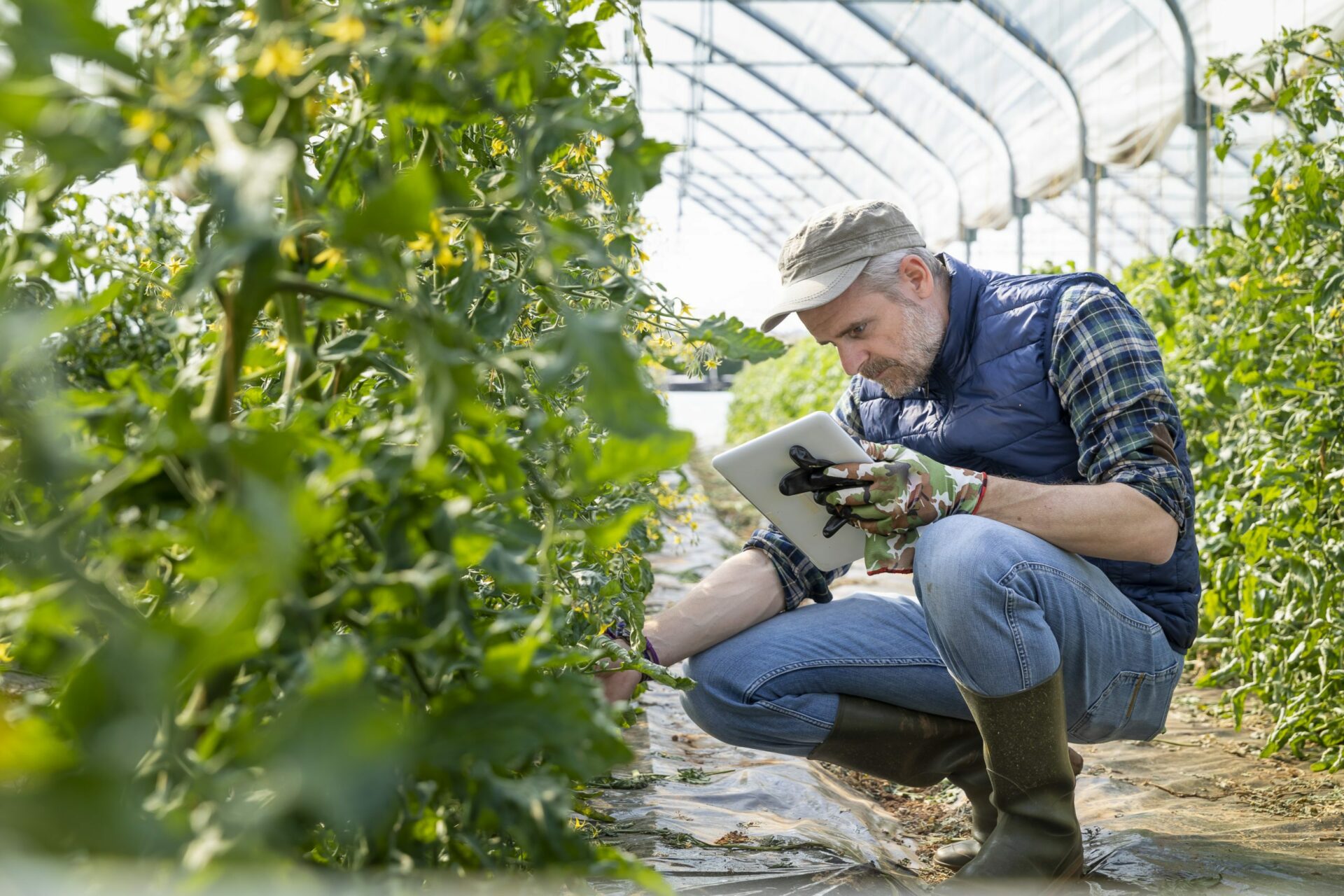 Built in Seattle: Koidra Secures $4.5M to Create Autonomous Greenhouses, Farms