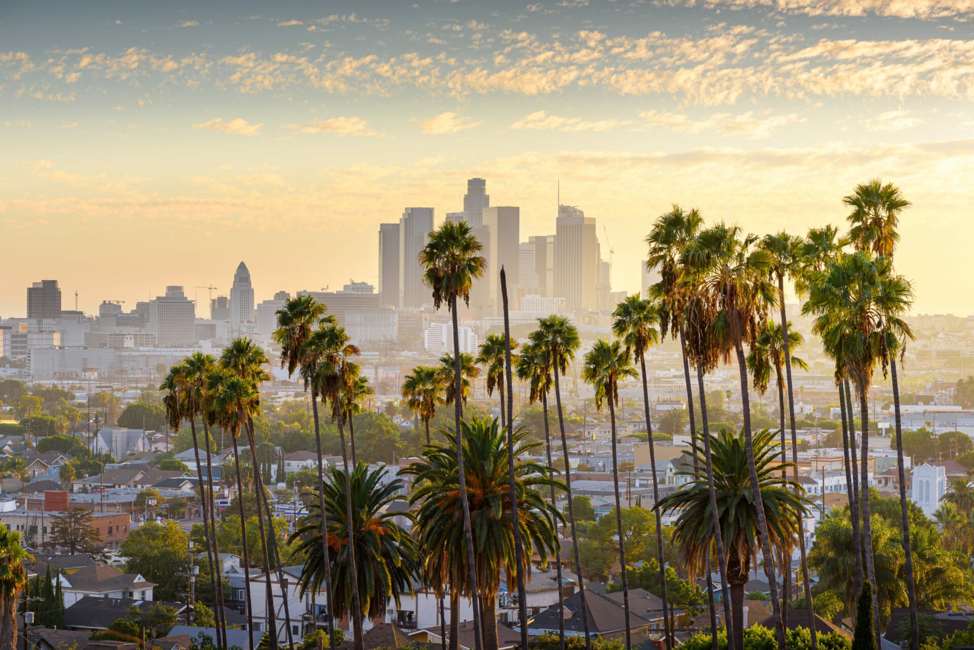 Built in LA: Welcome Tech Secures $30M to Build the Future of Immigration