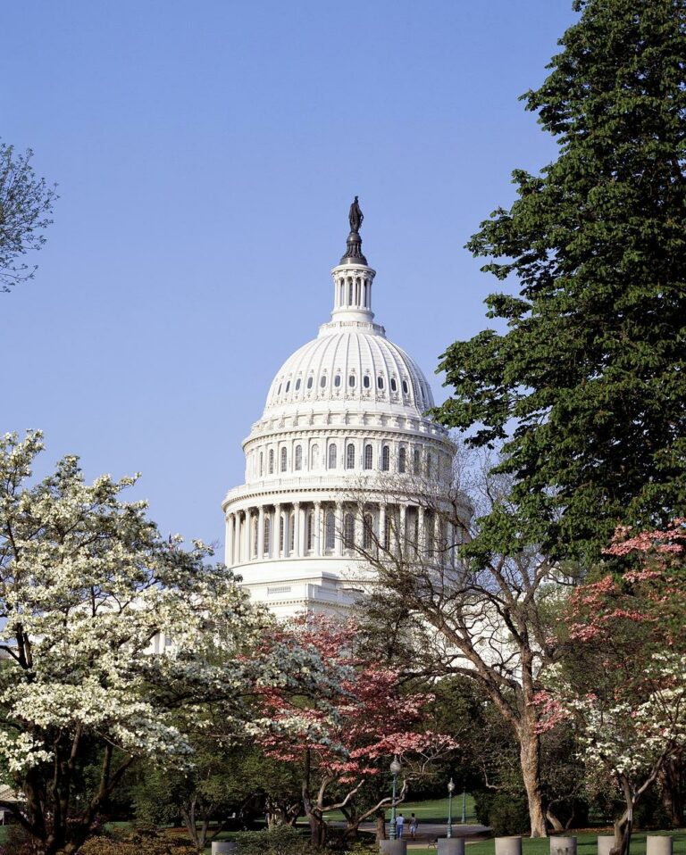 Op-Ed | Congress must permanently fund the Affordable Connectivity Program and bridge the digital divide